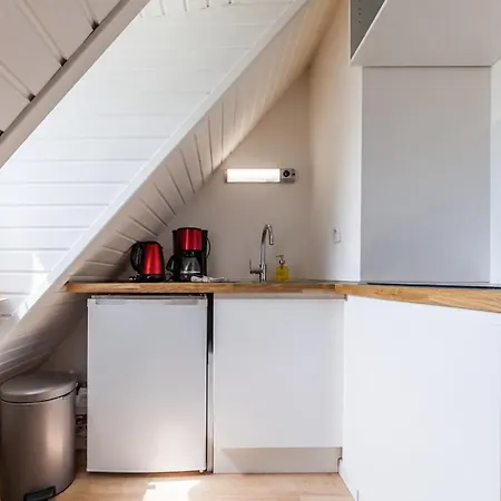 Appartamento De Charme Sous Les Toits - Petite France Strasburgo